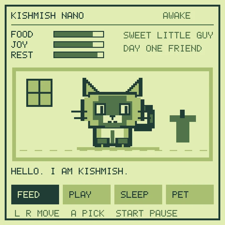 Actual Kishmish Nano software framebuffer showing the pixel-art cat and care menu